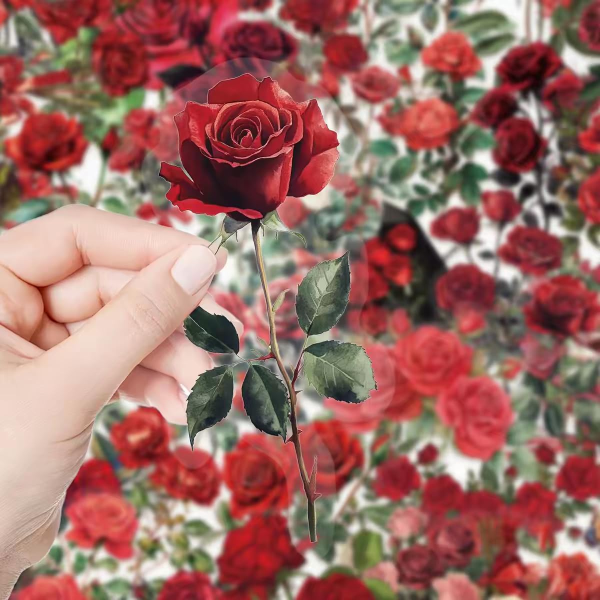 S.A.V.I 50 Rose Bouquet Stickers Pack, Floral Vinyl Decals for DIY Crafts
