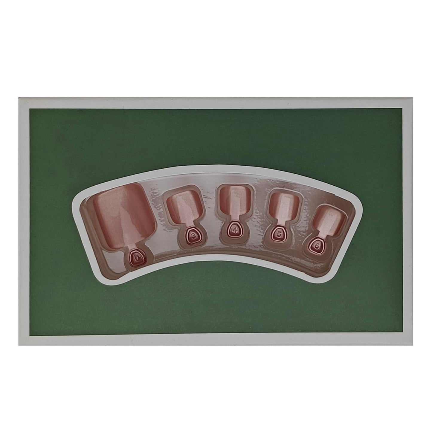 S.A.V.I Short Square Press On Nails for Women, Red & Nude Cat Eye Gloss Finish, Floral 3D Chrome Design, Reusable Artificial Fake Nail Set with Glue & Tabs (30 Pieces)