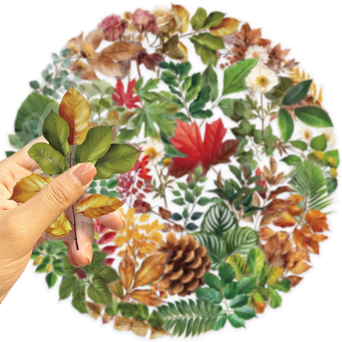 S.A.V.I 50 Pcs Botanical Floral Stickers Set, Waterproof PVC Vinyl Decals