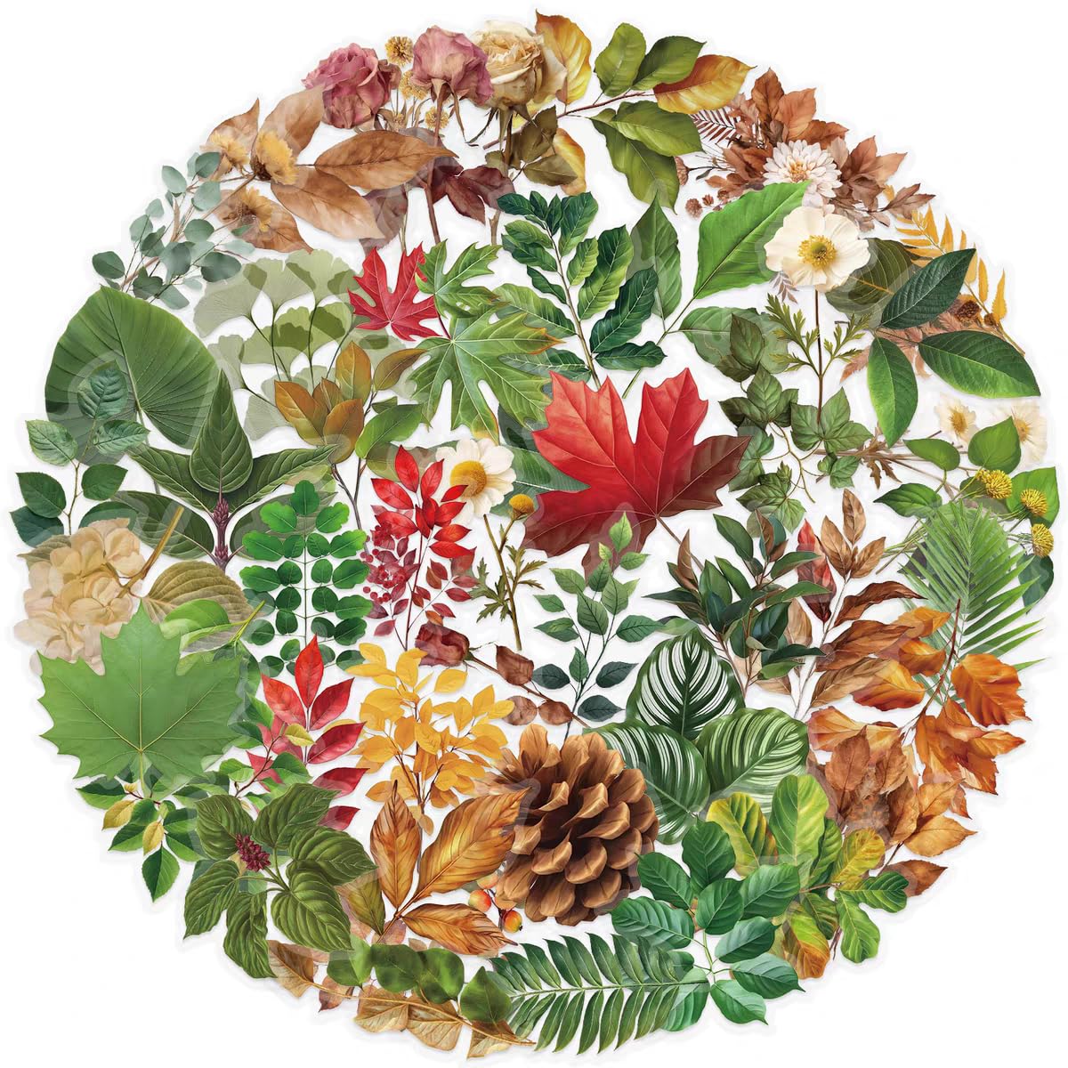 S.A.V.I 50 Pcs Botanical Floral Stickers Set, Waterproof PVC Vinyl Decals